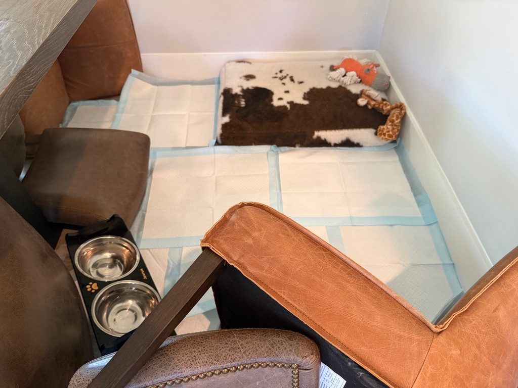 A small confinement area made from a couch, chairs and a wooden table, lined with potty pads, with a cowhide rug, a dog bed and food bowls inside.